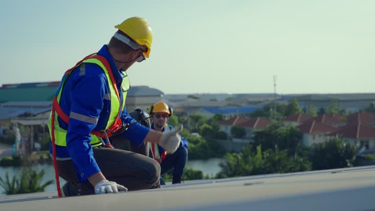 Best Roof Maintenance and Cleaning  in Bylas, AZ